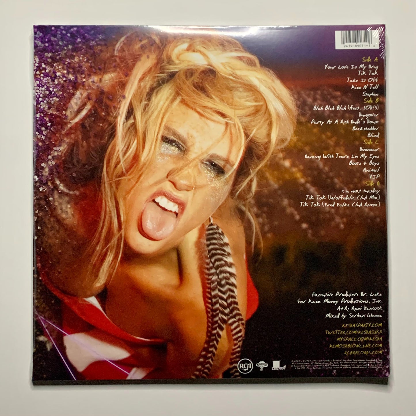 Kesha Animal Album Gold & Black Vinyl Back of Cover