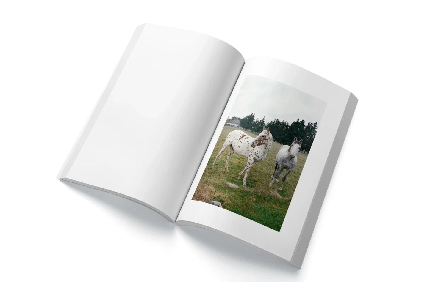 Melanchole Photo Book - Salvia Palth Jono Verrall Ltd. First Edition 1/300